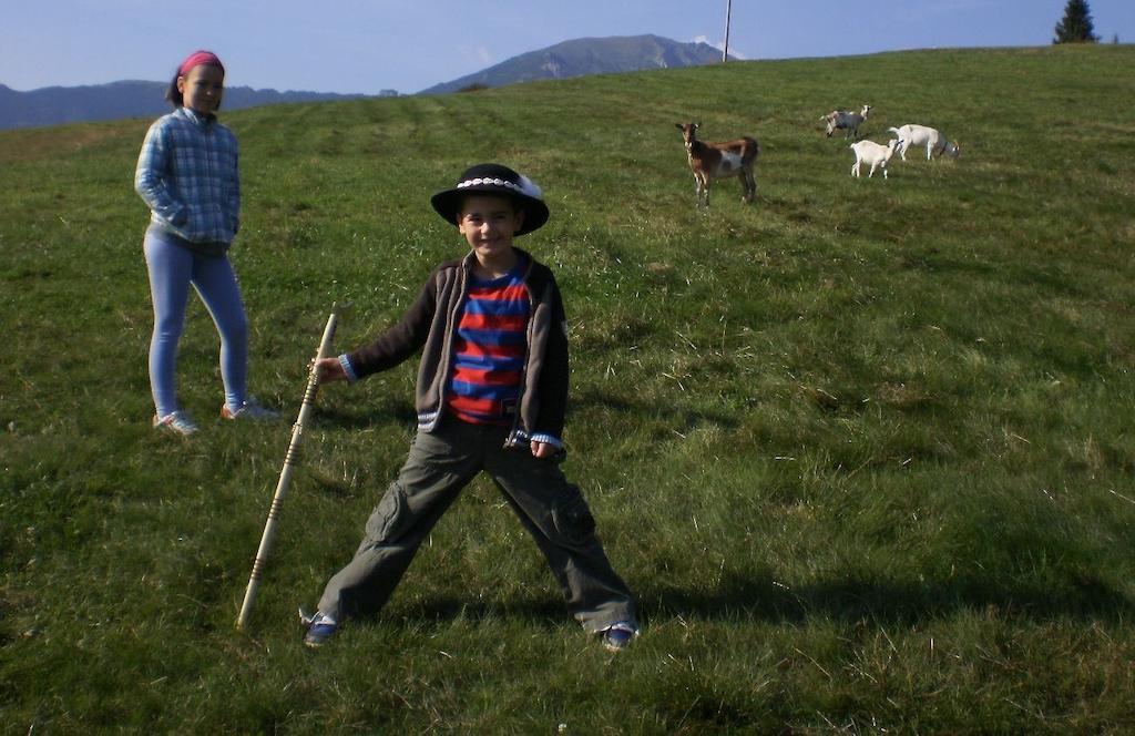 Penzion Deny Ždiar Eksteriør bilde